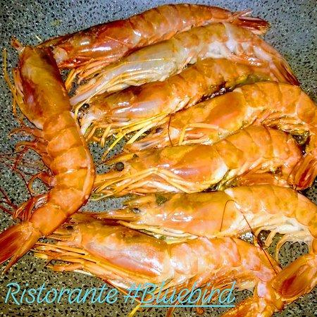 Bluebird Ristorante Bar Cafe